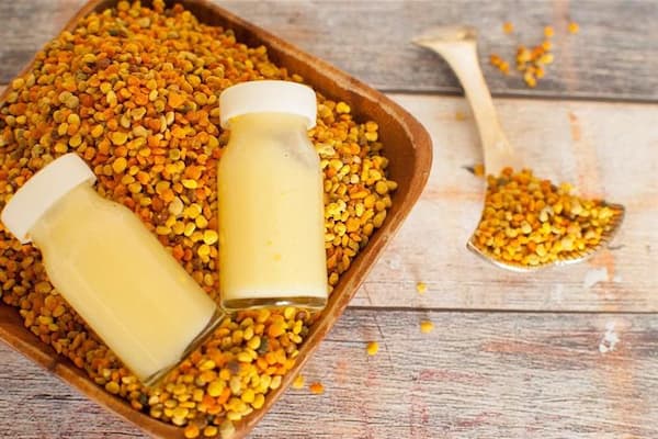قیمت ژل رویال قزوین با کیفیت ارزان + خرید عمده
