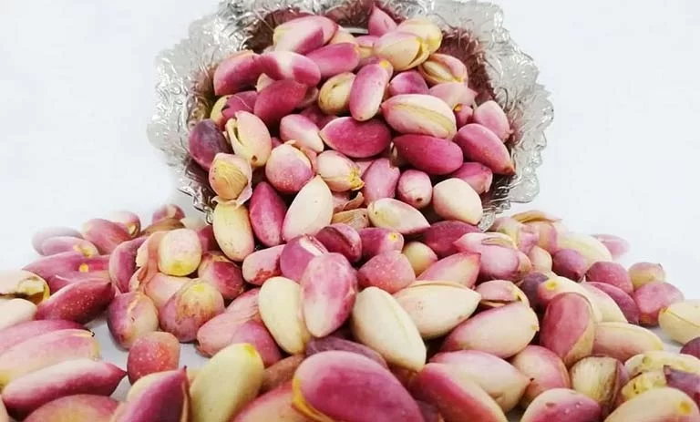 فروش پسته کله قوچی تازه + قیمت خرید به صرفه