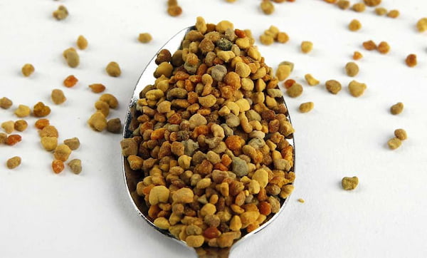 فروش گرده گل کوهستان + قیمت خرید به صرفه