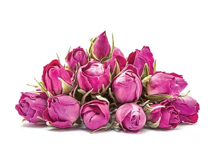 قیمت خرید غنچه گل محمدی صادراتی + فروش ویژه