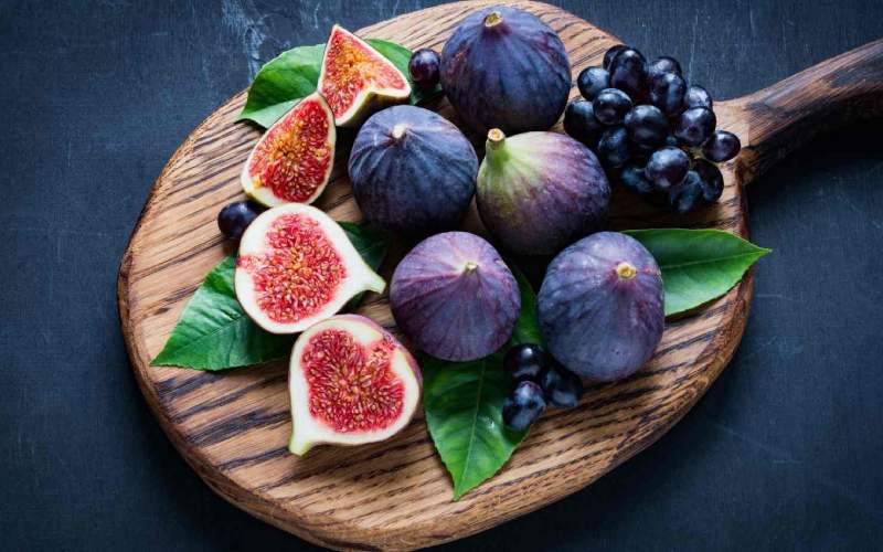 قیمت خرید انجیر ارگانیک استهبان با فروش عمده