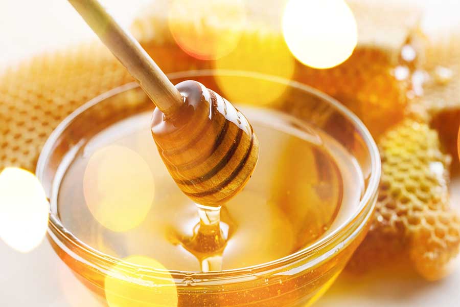 قیمت خرید عسل طبیعی جنگلی با فروش عمده