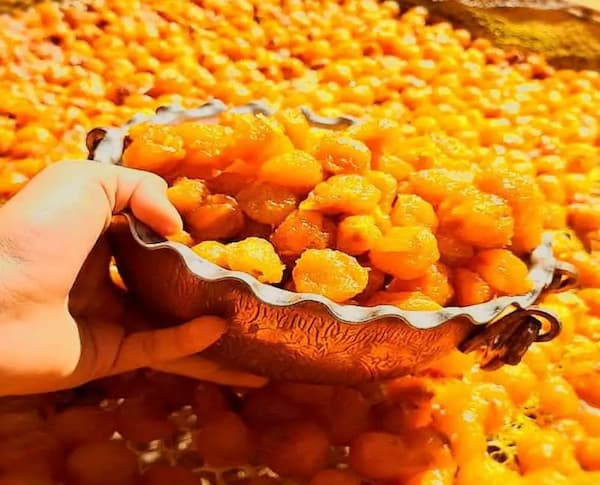قیمت خرید آلو بخارا حاج حسنی + فروش ویژه