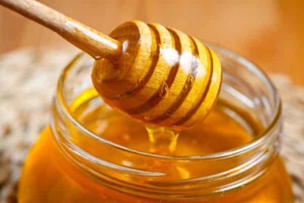 قیمت خرید عسل چهل گیاه خوانسار با فروش عمده