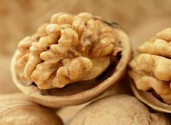فروش مغز گردو سفید تویسرکان + قیمت خرید به صرفه