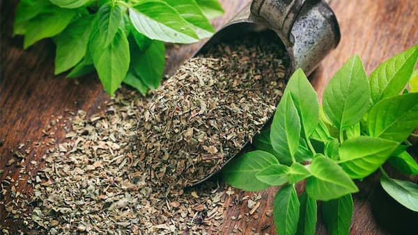 فروش سبزی ریحان خشک + قیمت خرید به صرفه