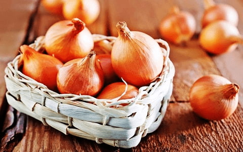قیمت خرید پیاز زرد زرگان با فروش عمده