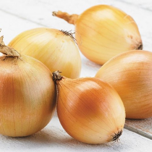 خرید پیاز زرد درجه یک + قیمت فروش استثنایی