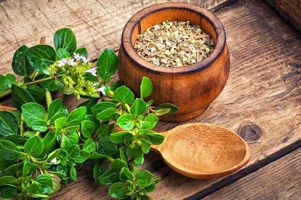 قیمت سبزی خشک مرزه با کیفیت ارزان + خرید عمده
