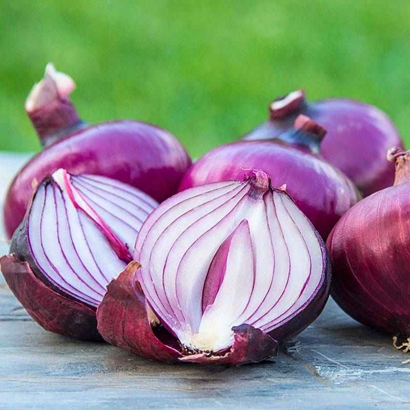 فروش پیاز قرمز بزرگ + قیمت خرید به صرفه