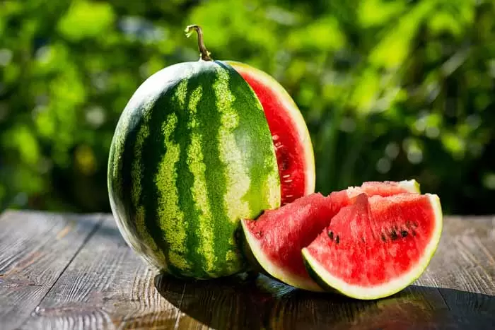 قیمت هندوانه سانمیک + خرید باور نکردنی