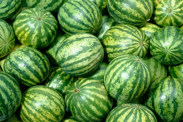 خرید هندوانه گرد کانیون + قیمت فروش استثنایی