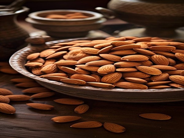 قیمت خرید مغز بادام قرمز با فروش عمده