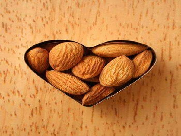 قیمت مغز بادام درختی با کیفیت ارزان + خرید عمده