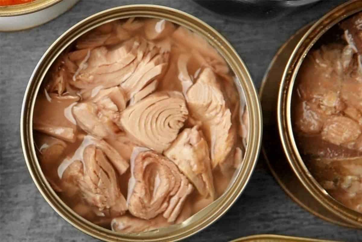 خرید تن ماهی رژیمی + قیمت فروش استثنایی