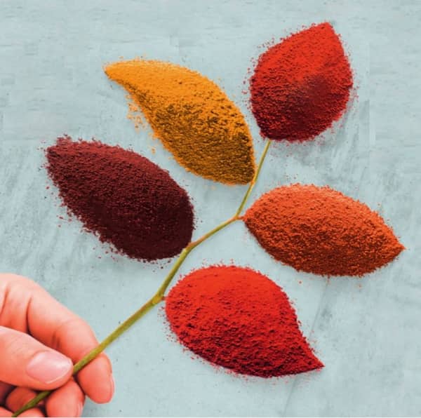 قیمت خرید اکسید روی کشاورزی + فروش ویژه