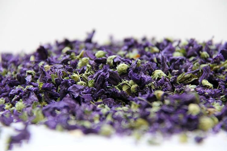 قیمت خرید گل ختمی سفید با فروش عمده