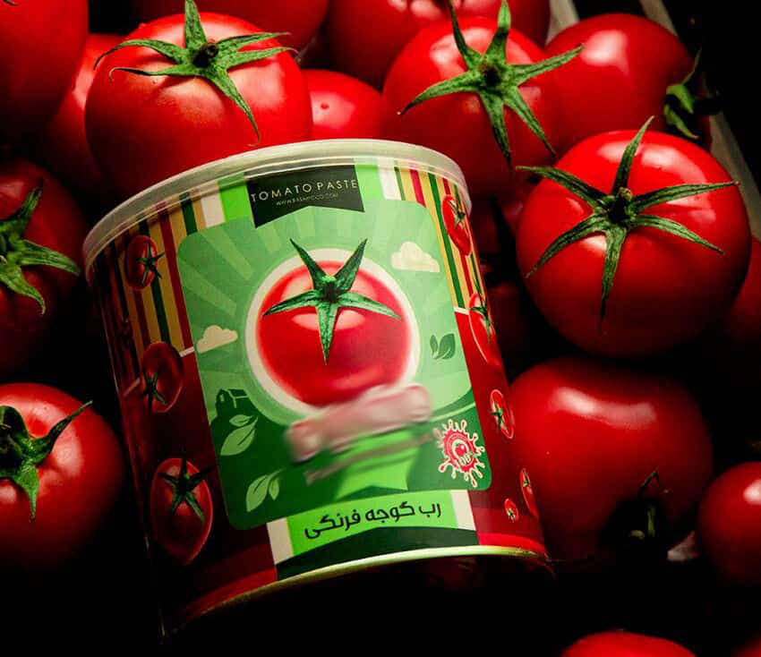 قیمت رب گوجه قوطی کوچک + خرید باور نکردنی