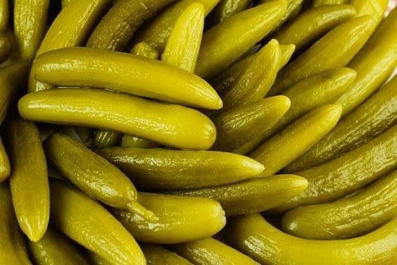 قیمت خرید خیارشور حلب ویژه با فروش عمده