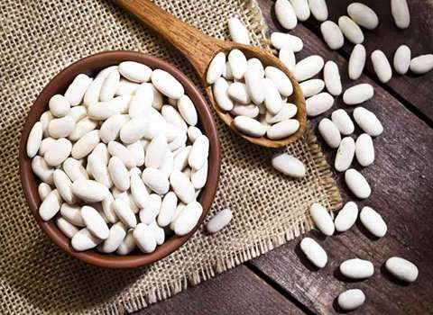 قیمت لوبیا سفید گوشتی با فروش عمده
