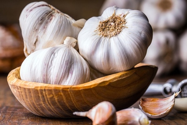 قیمت سیر مروارید همدان + خرید باور نکردنی