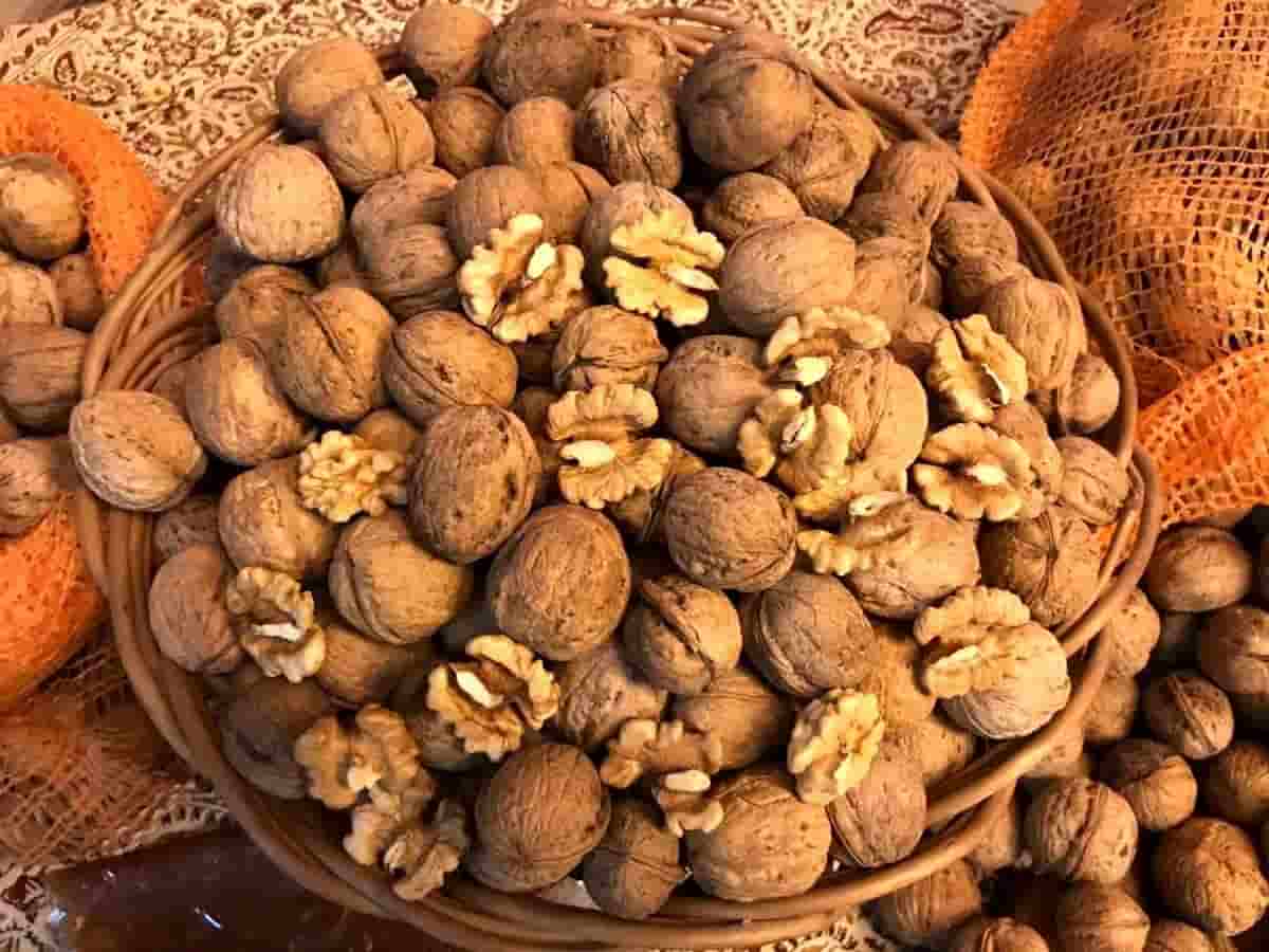 قیمت خرید مغز گردو ممتاز + فروش ویژه
