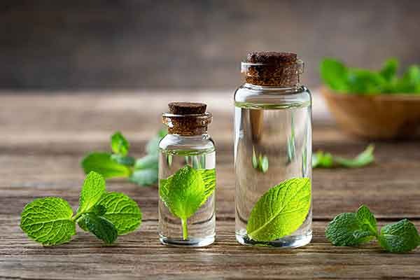 قیمت عرق نعنا ۴ لیتری با کیفیت ارزان + خرید عمده