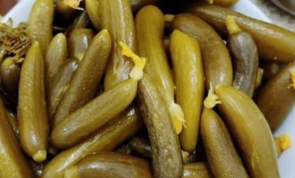 قیمت خرید خیارشور شور با فروش عمده