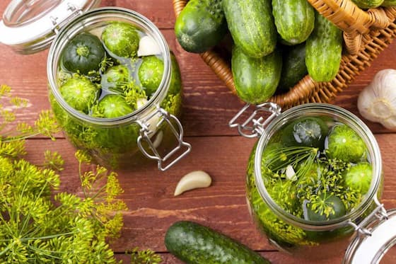 قیمت خیارشور ارگانیک با کیفیت ارزان + خرید عمده