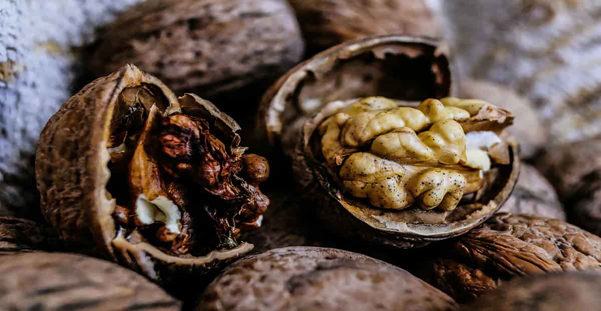 قیمت مغز گردو سیاه شده با کیفیت ارزان + خرید عمده