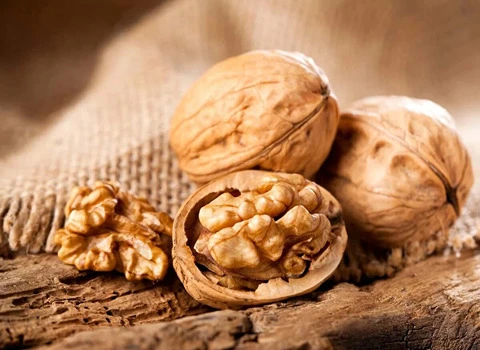 قیمت خرید گردو کاغذی اعلا + فروش ویژه