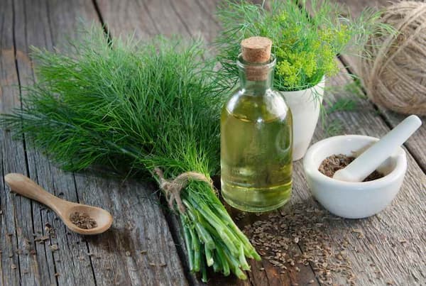 فروش قطره عصاره شوید + قیمت خرید به صرفه