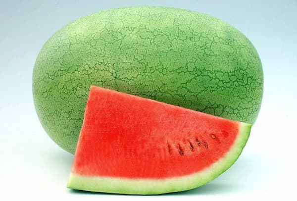 قیمت خرید هندوانه پوست نازک + فروش ویژه