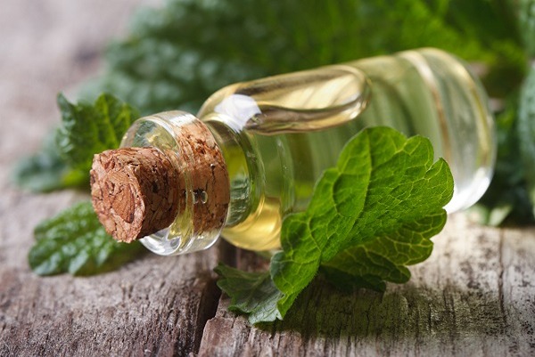 خرید شربت عرق بادرنجبویه + قیمت فروش استثنایی