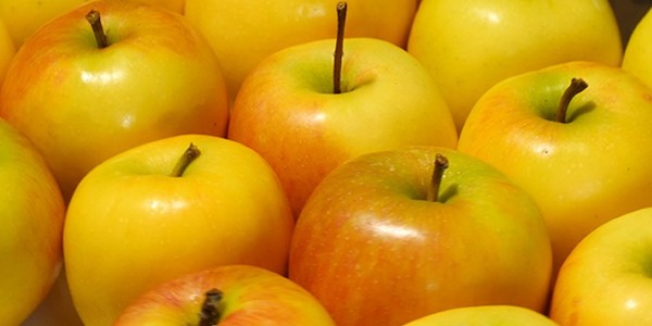 قیمت خرید سیب زرد خالدار با فروش عمده