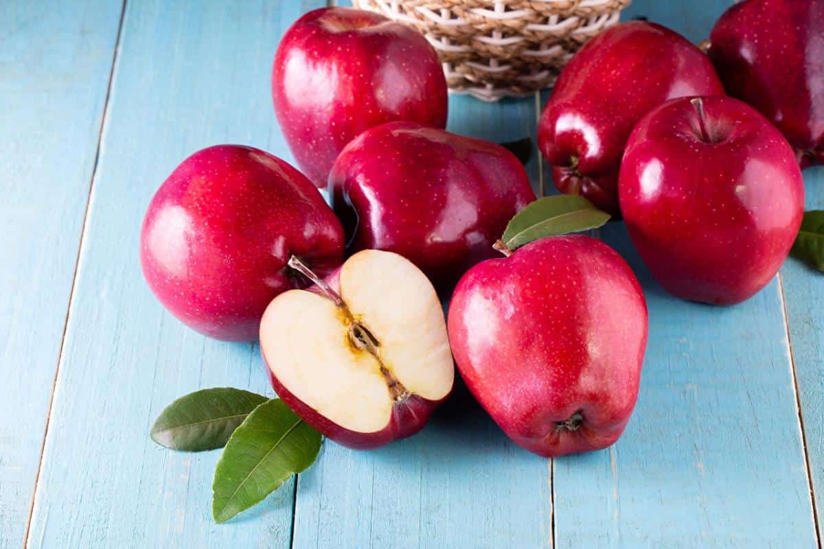 قیمت خرید سیب قرمز اصفهان + فروش ویژه