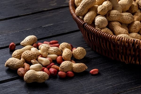 فروش بادام هندی با پوست + قیمت خرید به صرفه