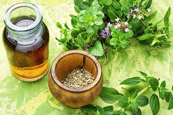 قیمت خرید شربت عرق پونه عمده به صرفه و ارزان
