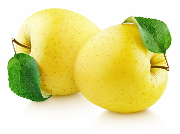 قیمت سیب زرد درجه یک + خرید باور نکردنی