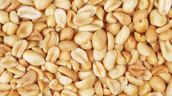 خرید مغز بادام زمینی عمده + قیمت فروش استثنایی