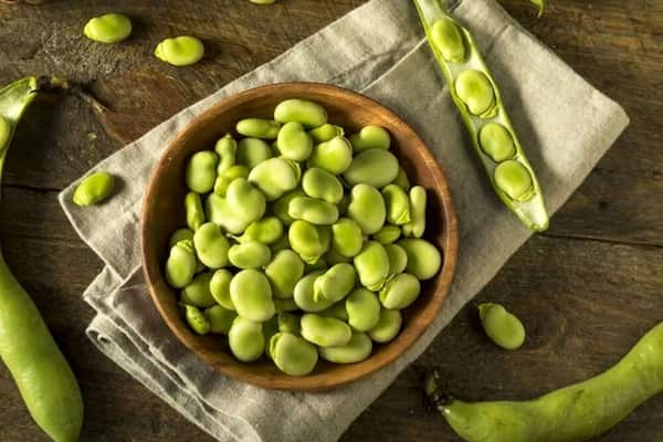 خرید و قیمت باقالی منجمد + فروش عمده