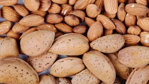 خرید و قیمت بادام مامایی خام + فروش عمده