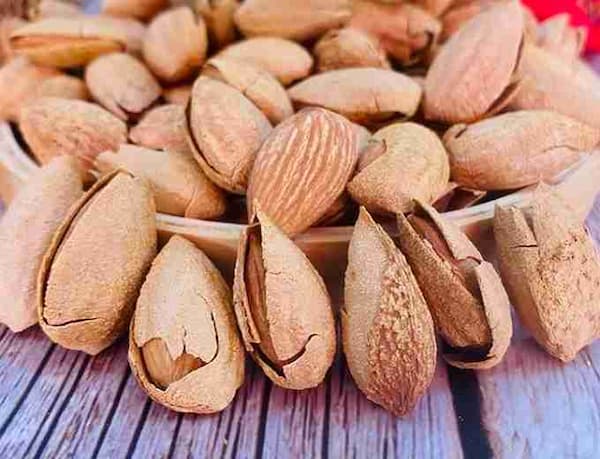 فروش بادام مامایی شور + قیمت خرید به صرفه