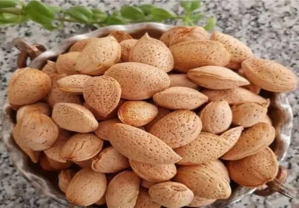 قیمت خرید بادام درجه یک صادراتی + فروش ویژه