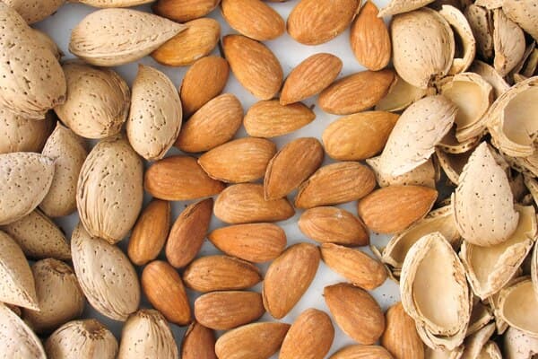 خرید مغز بادام مشهد + قیمت فروش استثنایی