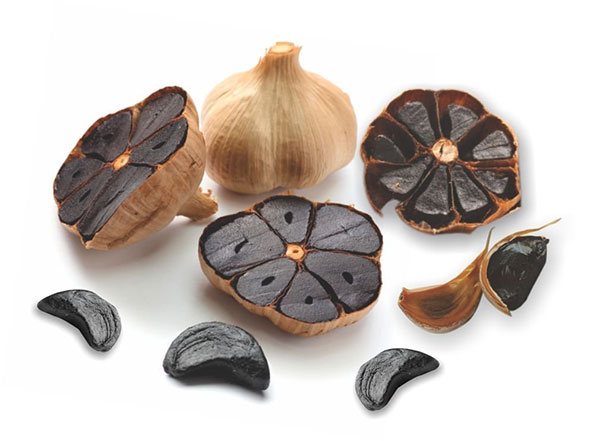 قیمت خرید سیر سیاه خشک شده + فروش ویژه