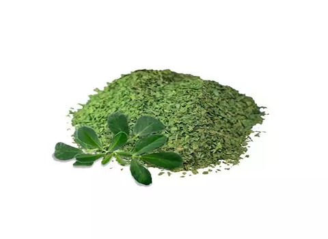 فروش گیاه شنبلیله خشک + قیمت خرید به صرفه