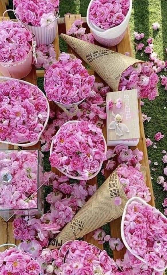 قیمت خرید پر گل محمدی + فروش ویژه