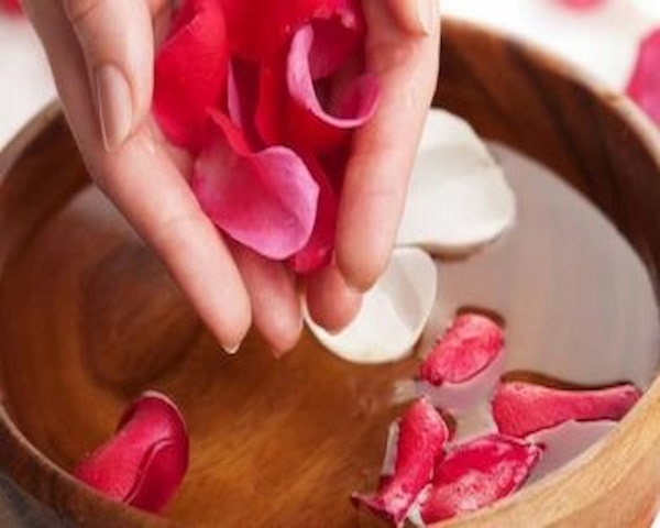 قیمت خرید گلاب بهشت کاشان با فروش عمده