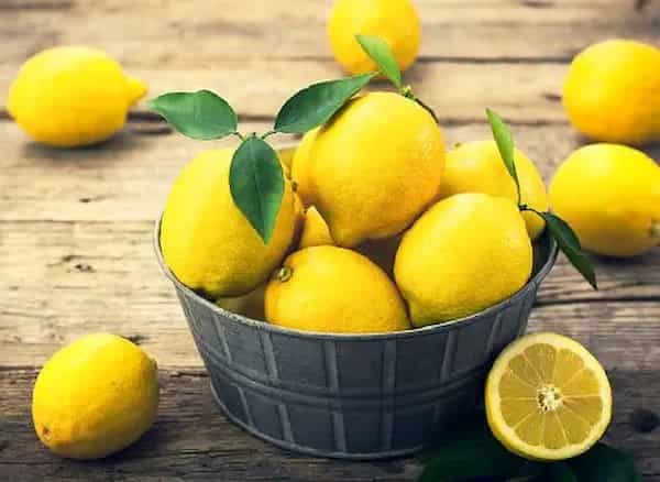 خرید لیمو شیرین صادراتی + قیمت فروش استثنایی